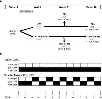 Circadian disruption dysregulates lung gene expression associated with inflammatory lung injury